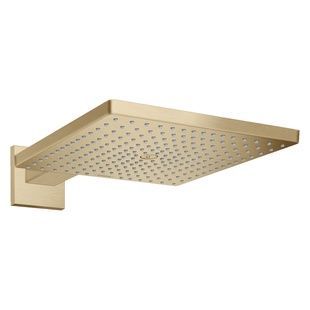 Верхній душ із кронштейном HANSGROHE Raindance 300мм латунь бронза 26238140