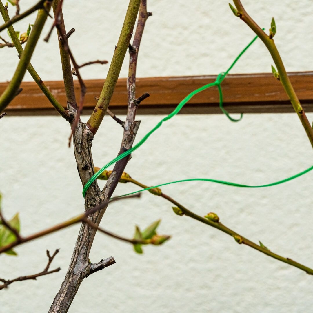 Проволока садовая VERTO, ПВХ-оболочка, с обрезчиком, 0.15смх50м, зеленая 15G530
