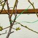 Проволока садовая VERTO, ПВХ-оболочка, с обрезчиком, 0.15смх50м, зеленая 15G530 4 из 10