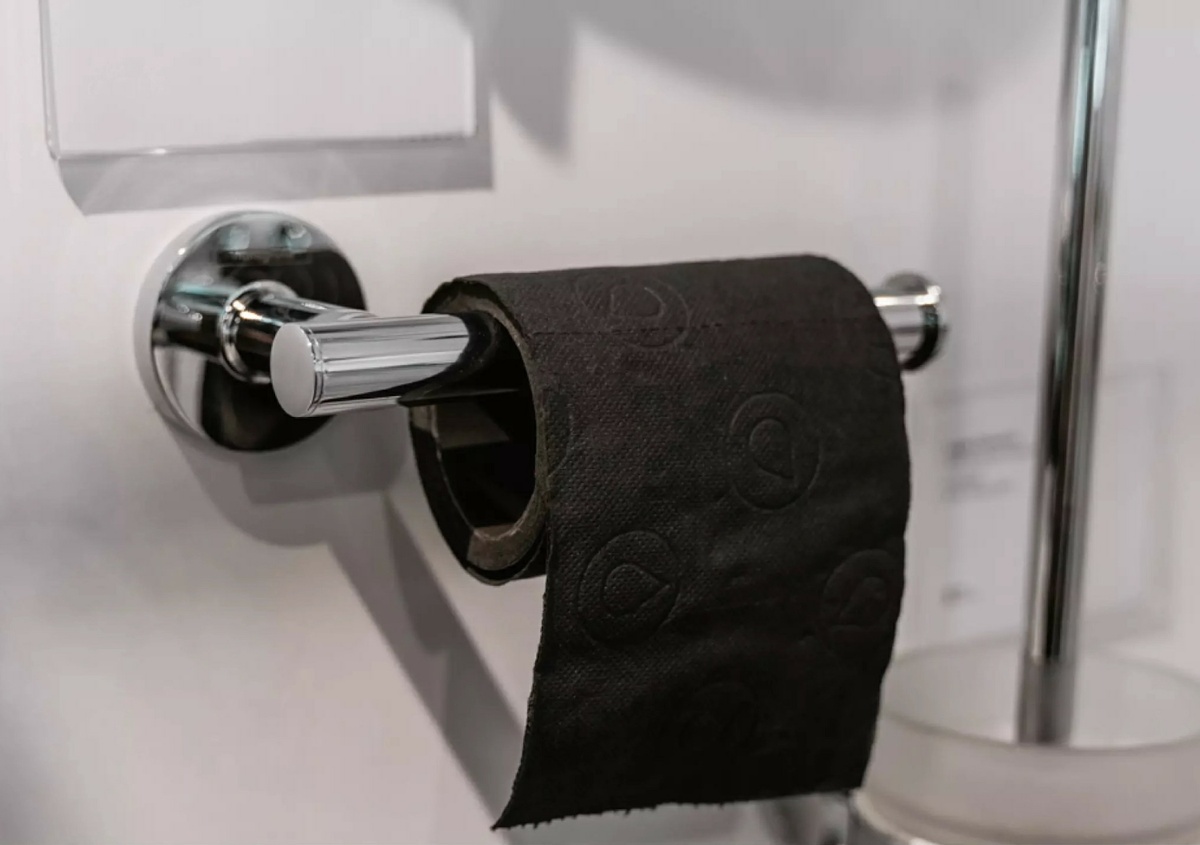 Тримач туалетного паперу HANSGROHE LOGIS хром метал 41726000