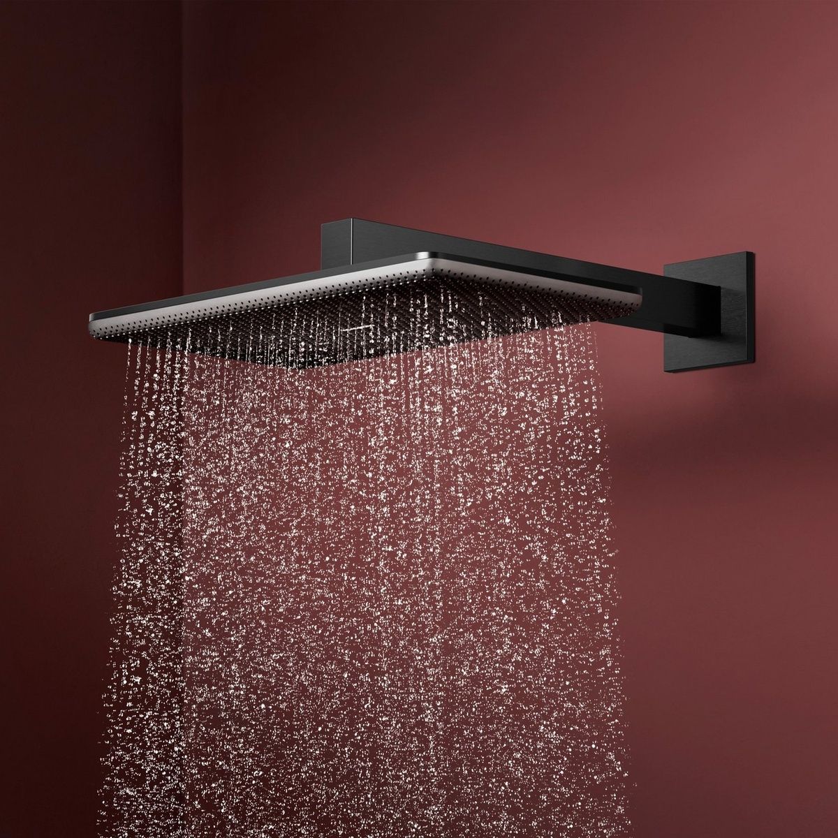 Верхній душ із кронштейном HANSGROHE Raindance Alive EcoSmart 340мм метал графіт 24551340