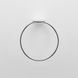 Держатель-кольцо для полотенец AM.PM Inspire A5034464 190мм округлый металлический хром 4 из 7