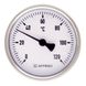 Термометр погружной AFRISO BiTh 120°C с задним подключением 1/2" корпус Ø63 мм 63803 1 из 2
