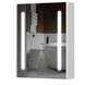 Шкафчик подвесной с зеркалом в ванную AQUARIUS Silver 60x75x15см c подсветкой белый AQ-U1665196096 1 из 2
