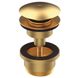 Донный клапан нажимной для раковины GRB Hydro 63мм универсальный латунь 1 1/4" матовый золотой 05055088 1 из 2